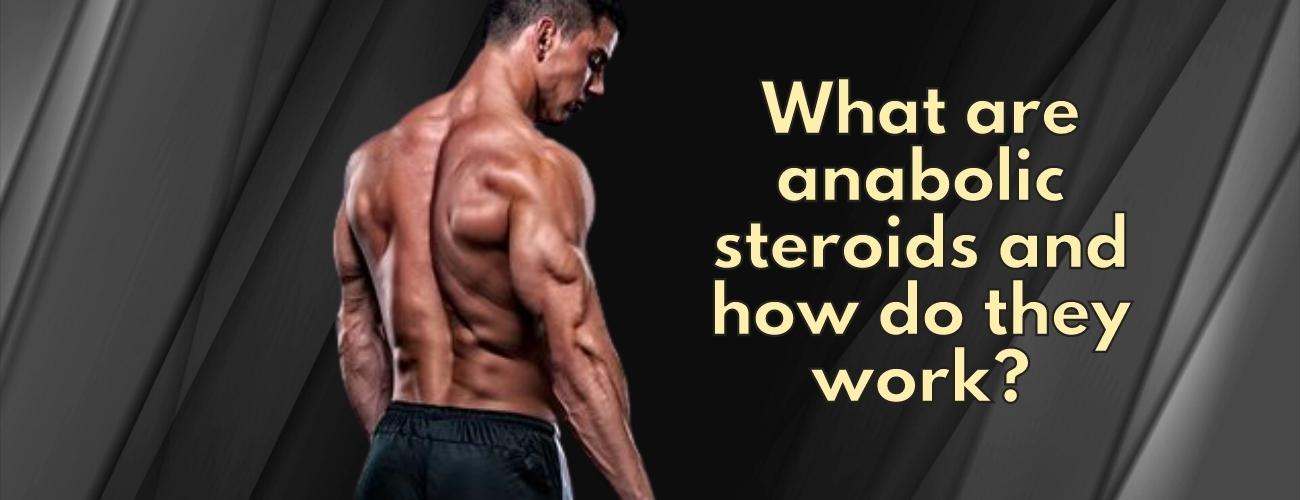 What are anabolic steroids and how do they work?
